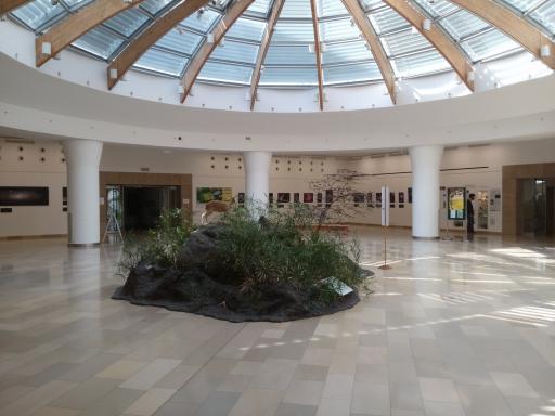 Hungarian Natural History Museum (1)