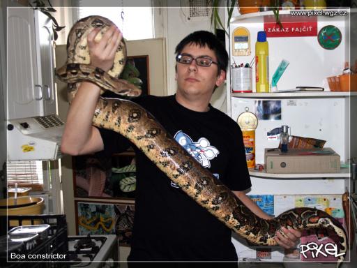 Boa 5